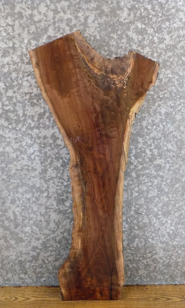 Reclaimed Live Edge Black Walnut Accent/Side Table Top Slab 1785